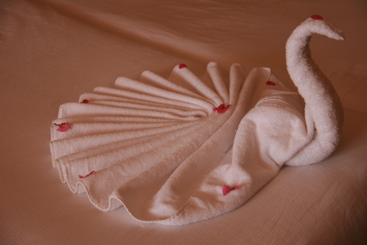 Vakantie Egypte 2010-269.jpg